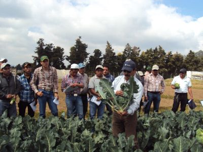Nuestros Clientes en Centroamérica